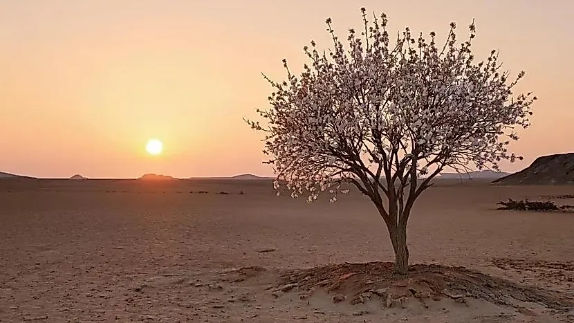 Позвоните нам +7 (922) 327-08-81